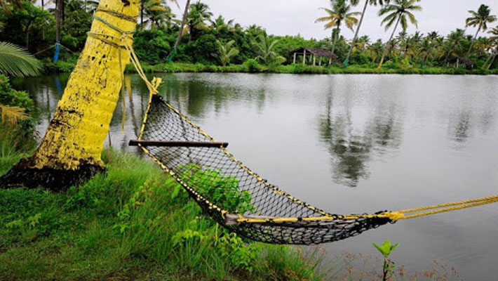 A pocket friendly day trip - Narakkal matsyafed aquatourism
